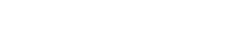 McPartland Federal Prison Strategies